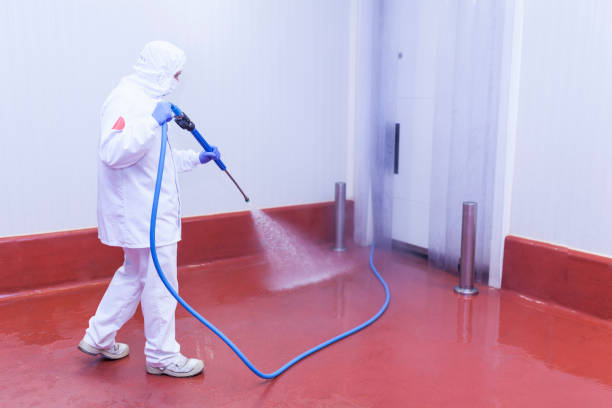 Best Graffiti Removal  in Boley, OK
